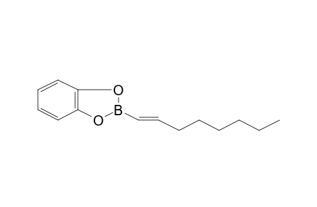 1,3,2-Benzodioxaborole, 2-(1-octenyl)-
