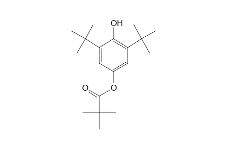 2,6-di-tert-butylhydroquinone, 4-pivalate