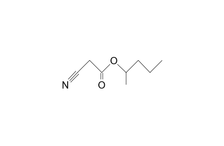 cyanoacetic acid, 1-methylbutyl ester