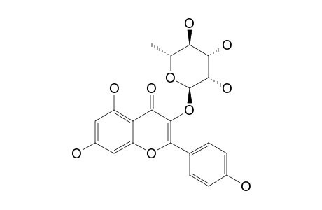 Afzelin