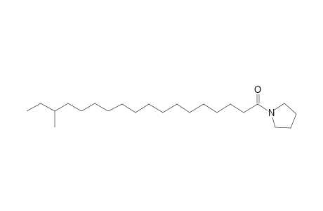 16-Methyl-octadecanooic acid, pyrrolidide