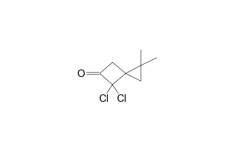 1,1-DIMETHYL-4,4-DICHLOROSPIRO[2.3]HEXAN-5-ONE