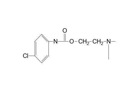 p-chlorocarbanilic acid, 2-(dimethylamino)ethyl ester