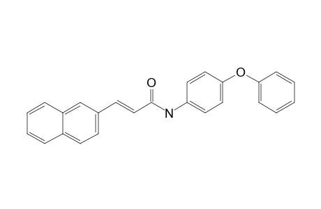 (E)-3-(2-naphthalenyl)-N-(4-phenoxyphenyl)-2-propenamide