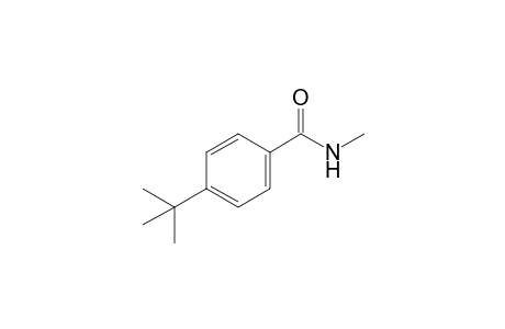 4-tert-Butyl-N-methyl-benzamide