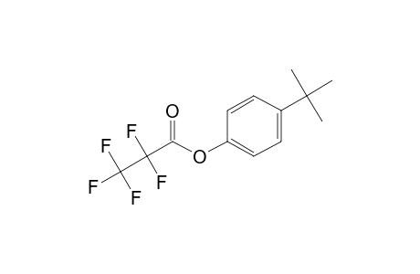 4-Tert-butylphenol, o-pentafluoropropionyl-