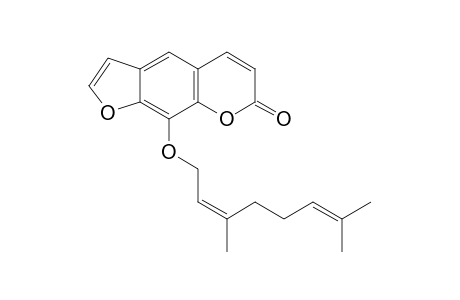 8-Geranoxypsoralen