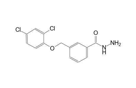 3-[(2,4-dichlorophenoxy)methyl]benzohydrazide