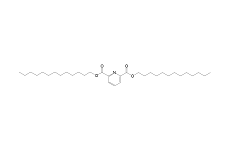 2,6-Pyridinedicarboxylic acid, ditridecyl ester