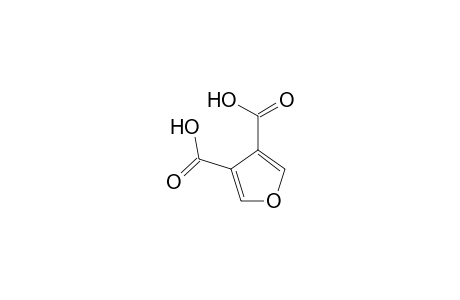 3,4-Furan dicarboxylic acid