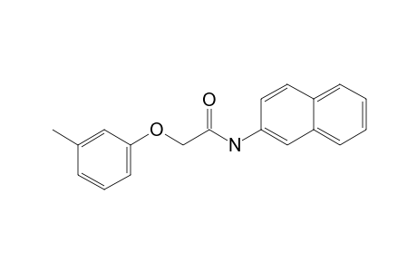 2-(3-Methylphenoxy)-N-(2-naphthyl)acetamide