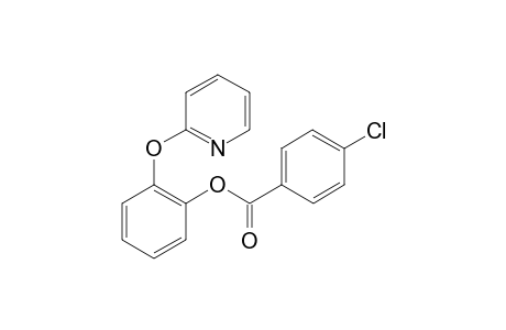 2-(Pyridin-2-yloxy)phenyl 4-chlorobenzoate