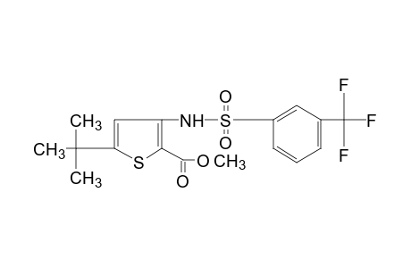 5-tert-BUTYL-3-(alpha,alpha,alpha-TRIFLUORO-m-TOLUENESULFONAMIDO)-2-THIOPHENECARBOXYLIC ACID, METHYL ESTER