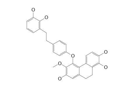 2'-(10,11-DIHYDROXY-1-BIBENZYLOXY)-1'-METHOXY-6',10',11'-TRIHYDROXY-7',8'-DIHYDROPHENANTHRENE