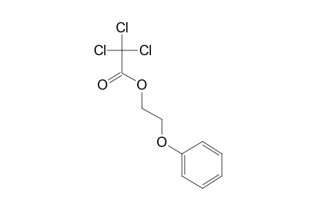 2-Phenoxyethanol, trichloroacetate