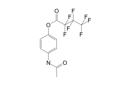 Paracetamol HFB               @