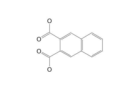 2,3-Naphthalenedicarboxylic acid