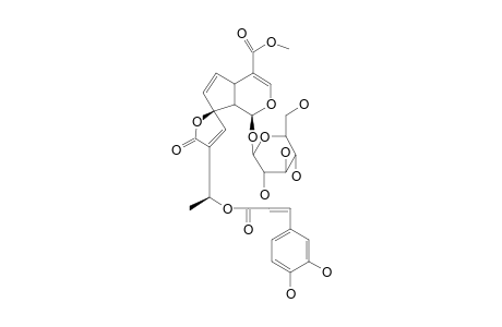 13-O-CAFFEOYLPLUMIERIDE