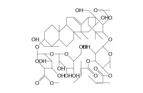 M-B1