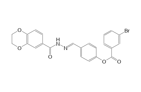 1,4-benzodioxin-6-carboxylic acid, 2,3-dihydro-, 2-[(E)-[4-[(3-bromobenzoyl)oxy]phenyl]methylidene]hydrazide