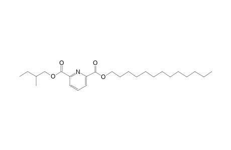 2,6-Pyridinedicarboxylic acid, 2-methylbutyl tridecyl ester