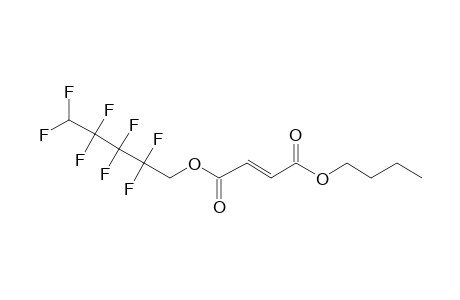 Fumaric acid, butyl 2,2,3,3,4,4,5,5-octafluoropentyl ester