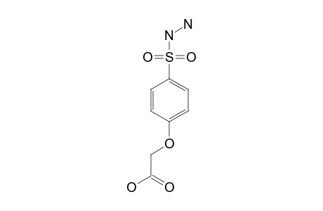 (p-sulfophenoxy)acetic acid, p-hydrazide