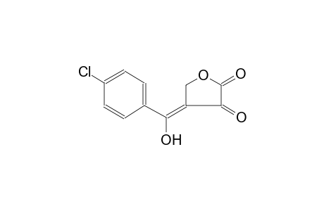 (4Z)-4-[(4-chlorophenyl)(hydroxy)methylene]dihydro-2,3-furandione