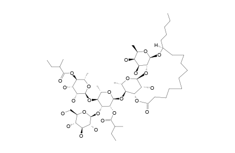 MURUCOIDIN_V