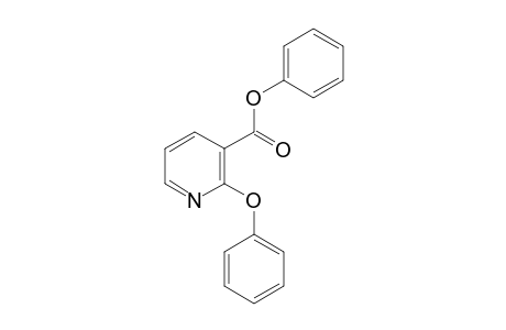 2-Phenoxynicotinic acid, phenyl ester