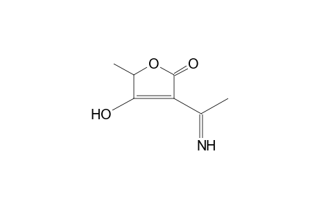 3-acetimidoyl-4-hydroxy-5-methyl-2(5H)-furanone