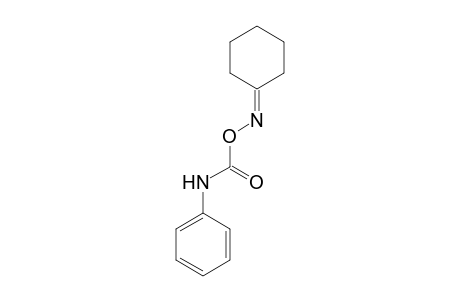 cyclohexanone, O-(phenylcarbamoyl)oxime
