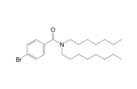 Benzamide, N-heptyl-N-octyl-4-bromo-