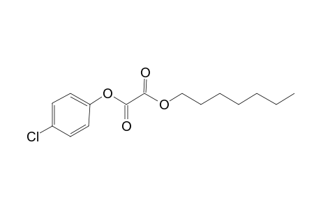 Oxalic acid, 4-chlorophenyl heptyl ester