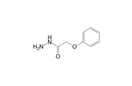 phenoxyacetic acid, hydrazide