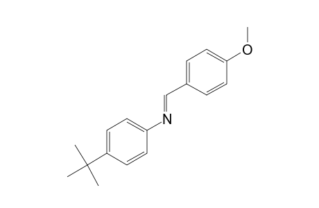 p-tert-butyl-N-(p-methoxybenzylidene)aniline