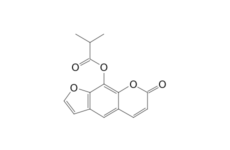 Xanthotoxol, 2-methylpropionate