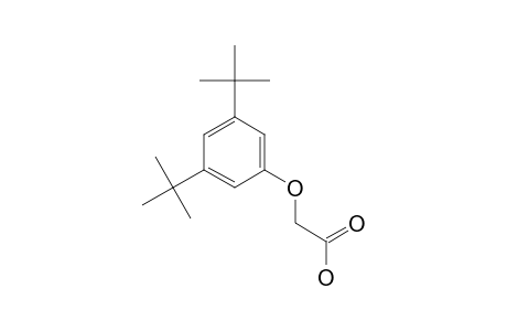 3,5-DI-TERT.-BUTYLPHENOXY-ACETIC-ACID