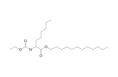 2-Aminocaprylic acid, N-ethoxycarbonyl-, dodecyl ester