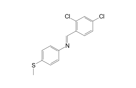 N-(2,4-dichlorobenzylidene)-p-(methylthio)aniline