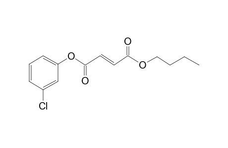 Fumaric acid, butyl 3-chlorophenyl ester