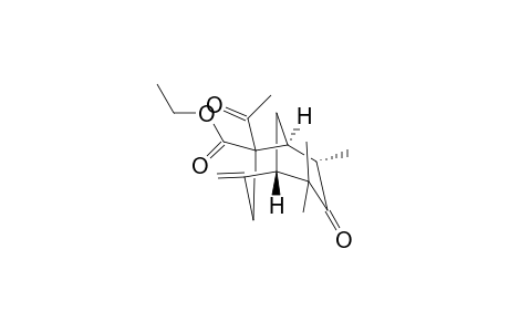 (-)-Ethyl (1S,5S,8S)-2-acetyl-6,6,9-trimethyl-4-methylene-7-oxobicyclo[3.3.1]nonane-2-carboxylate