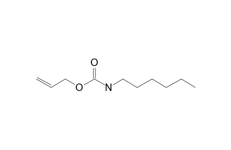 Carbonic acid, monoamide, N-hexyl-, allyl ester