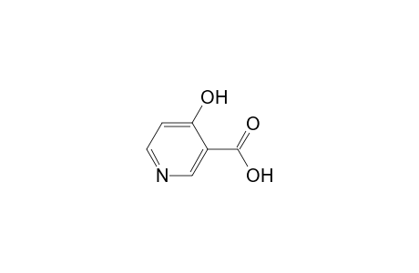 4-Hydroxynicotinic acid