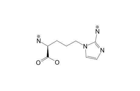 2-(S)-AMINO-5-(2-AMINOIMIDAZOL-1-YL)-PENTANOIC_ACID_AMMONIUM_SALT;A1P