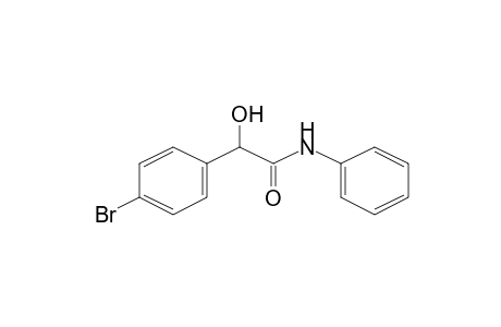 2-(4-bromophenyl)-2-hydroxy-N-phenyl-acetamide