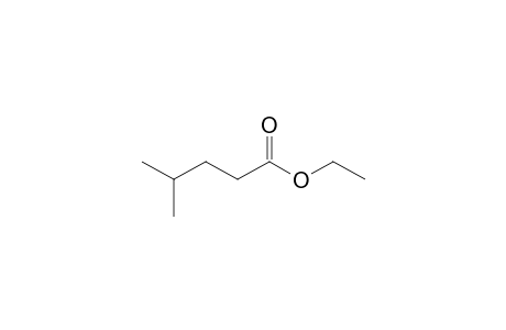 4-methylvaleric acid, ethyl ester