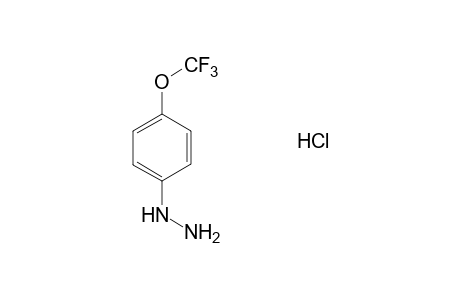 4-(Trifluoromethoxy)phenylhydrazine hydrochloride