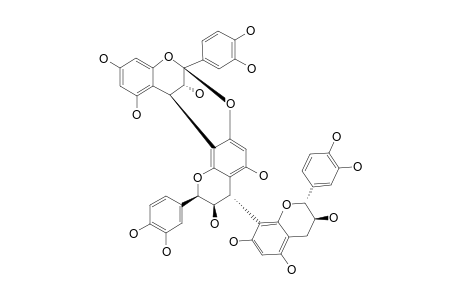 CINNAMTANNIN_D-1