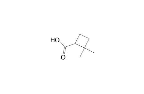 Cyclobutanecarboxylic acid, 2,2-dimethyl-